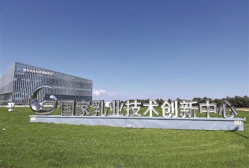 呼和浩特科創載體多點開花，技術開發賦能產業高質量發展